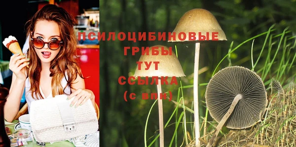 наркотики Новозыбков