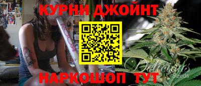 молекула духа Жуковский