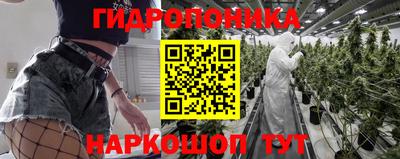 молекула духа Берёзовский