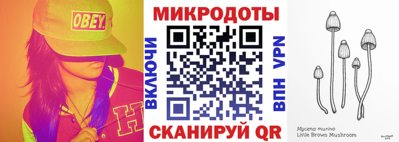 Галлюциногенные грибы Psilocybine cubensis  Ртищево 