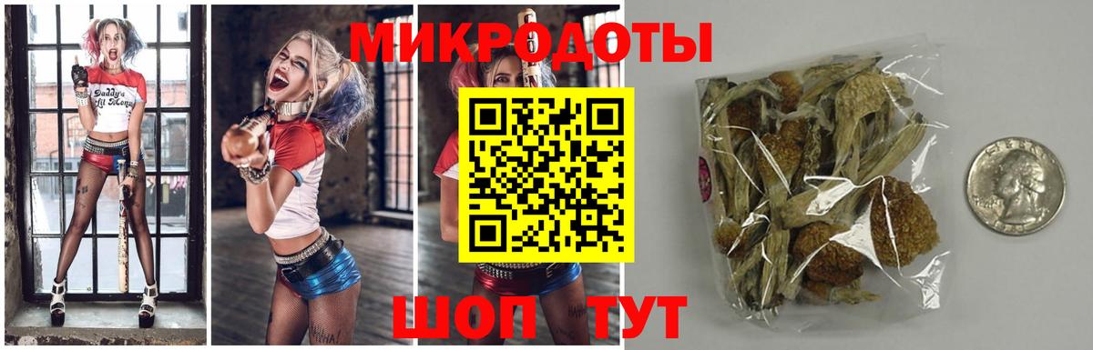 Галлюциногенные грибы Magic Shrooms Ртищево